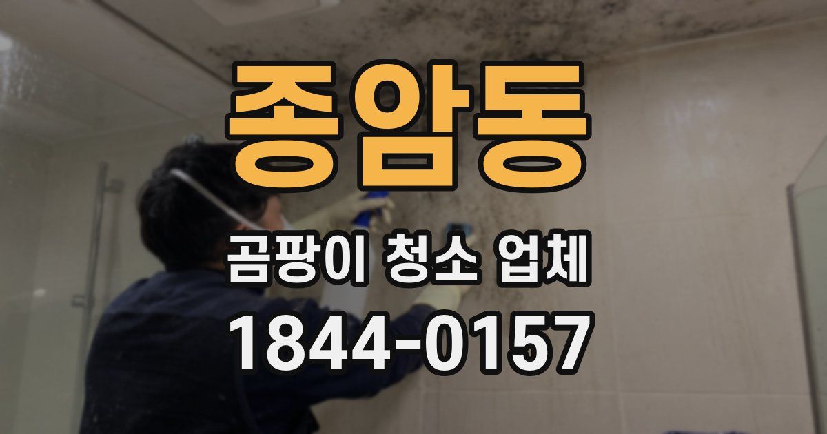 종암동 곰팡이 청소 업체