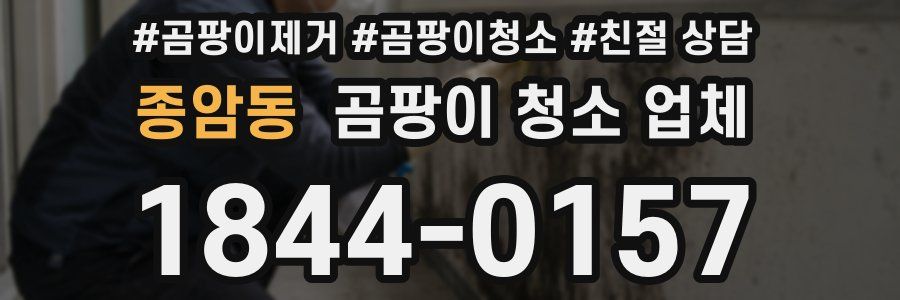 종암동 곰팡이 청소 업체
