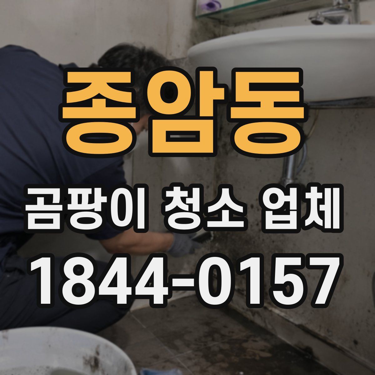 종암동 곰팡이 청소 업체