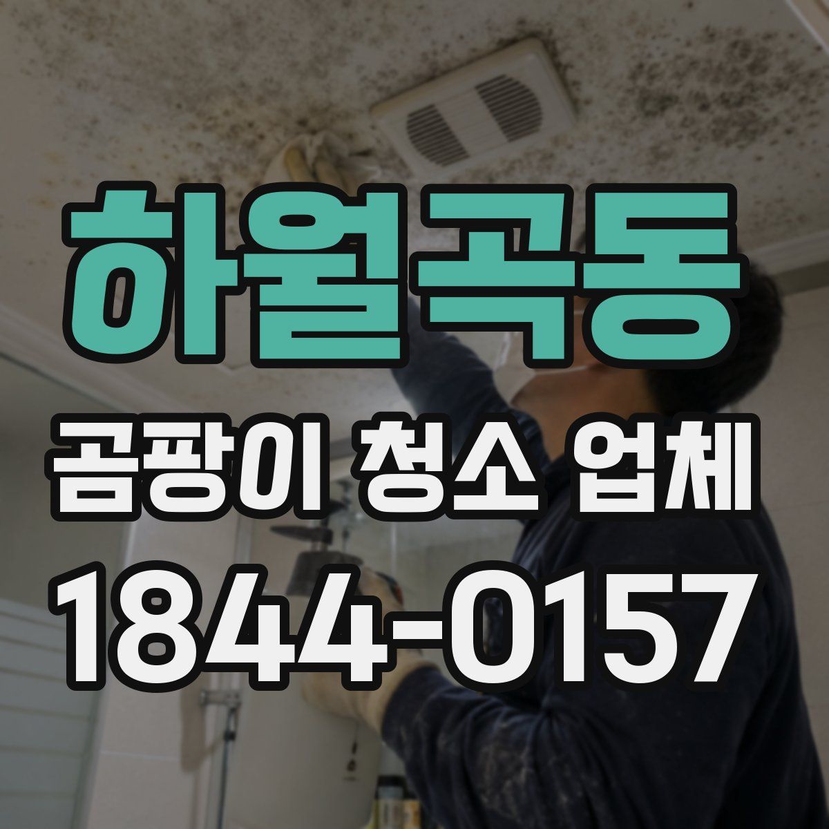 하월곡동 곰팡이 청소 업체