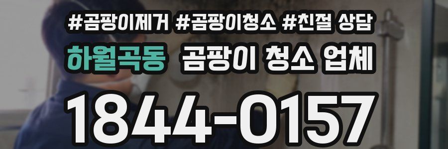 하월곡동 곰팡이 청소 업체