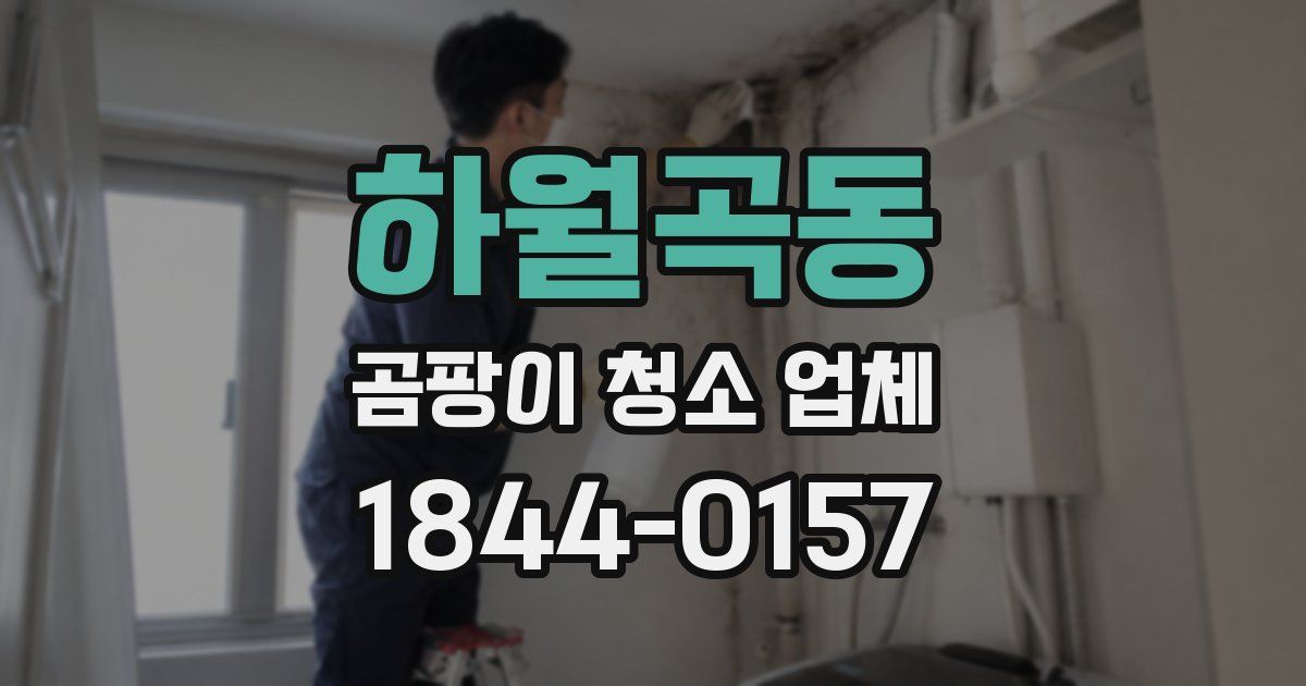 하월곡동 곰팡이 청소 업체