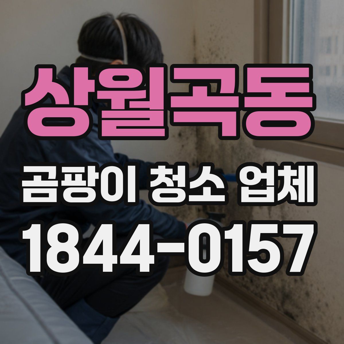 상월곡동 곰팡이 청소 업체
