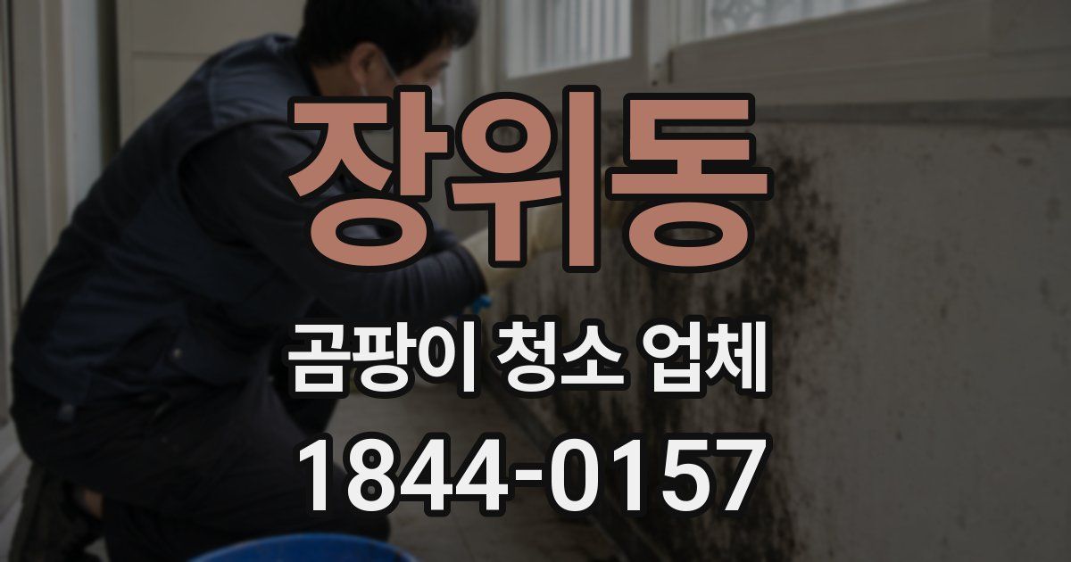 장위동 곰팡이 청소 업체