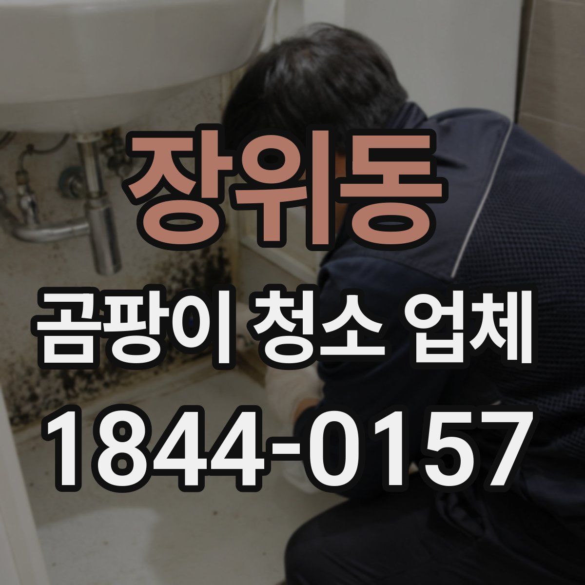 장위동 곰팡이 청소 업체