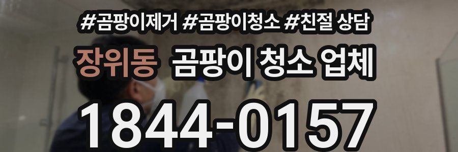 장위동 곰팡이 청소 업체