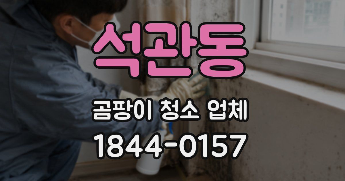 석관동 곰팡이 청소 업체