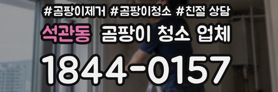 석관동 곰팡이 청소 업체