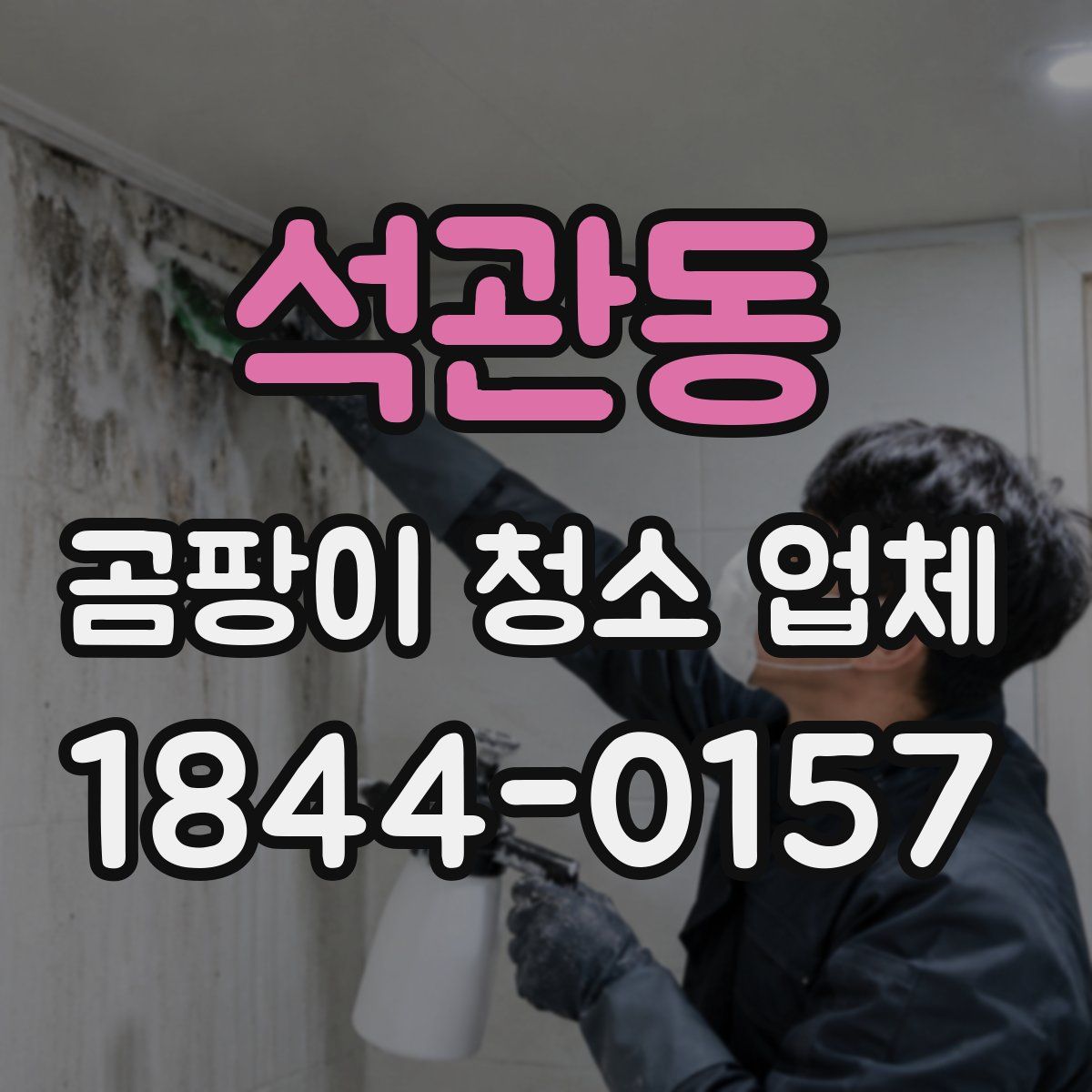 석관동 곰팡이 청소 업체