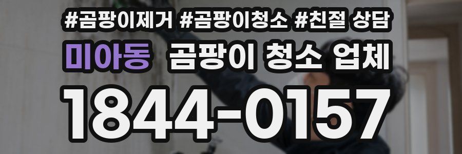 미아동 곰팡이 청소 업체