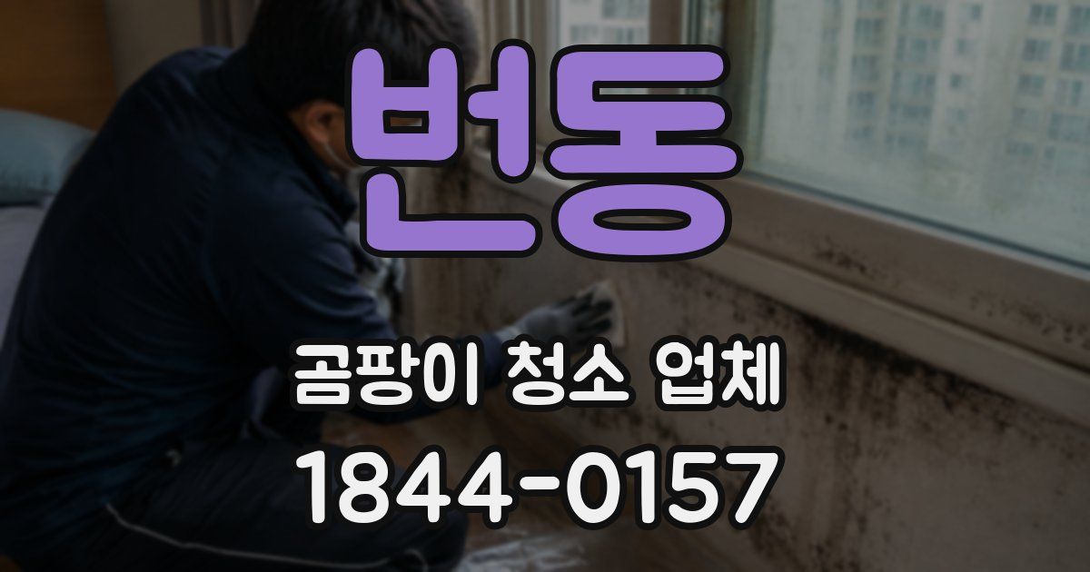 번동 곰팡이 청소 업체