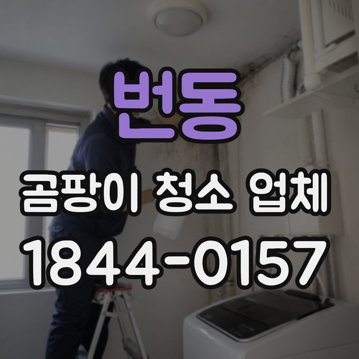 번동 곰팡이 청소 업체