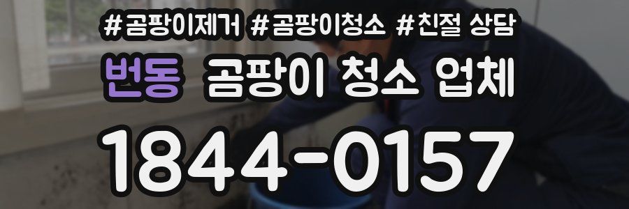 번동 곰팡이 청소 업체