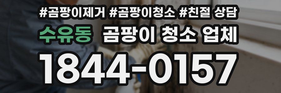 수유동 곰팡이 청소 업체