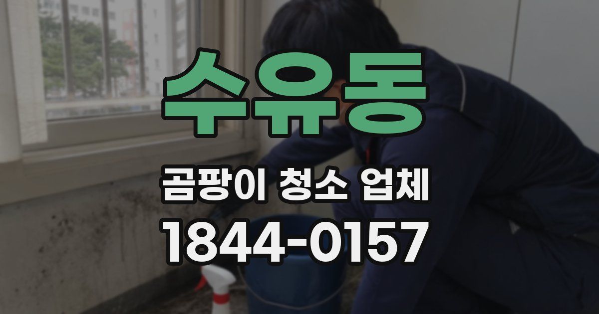 수유동 곰팡이 청소 업체