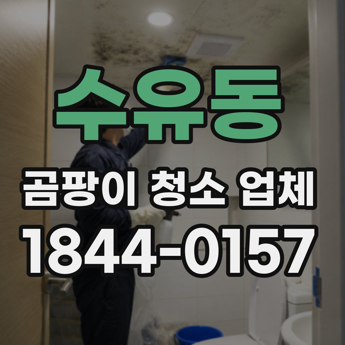 수유동 곰팡이 청소 업체