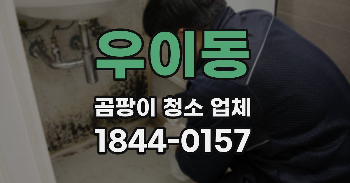 우이동 곰팡이 청소 업체