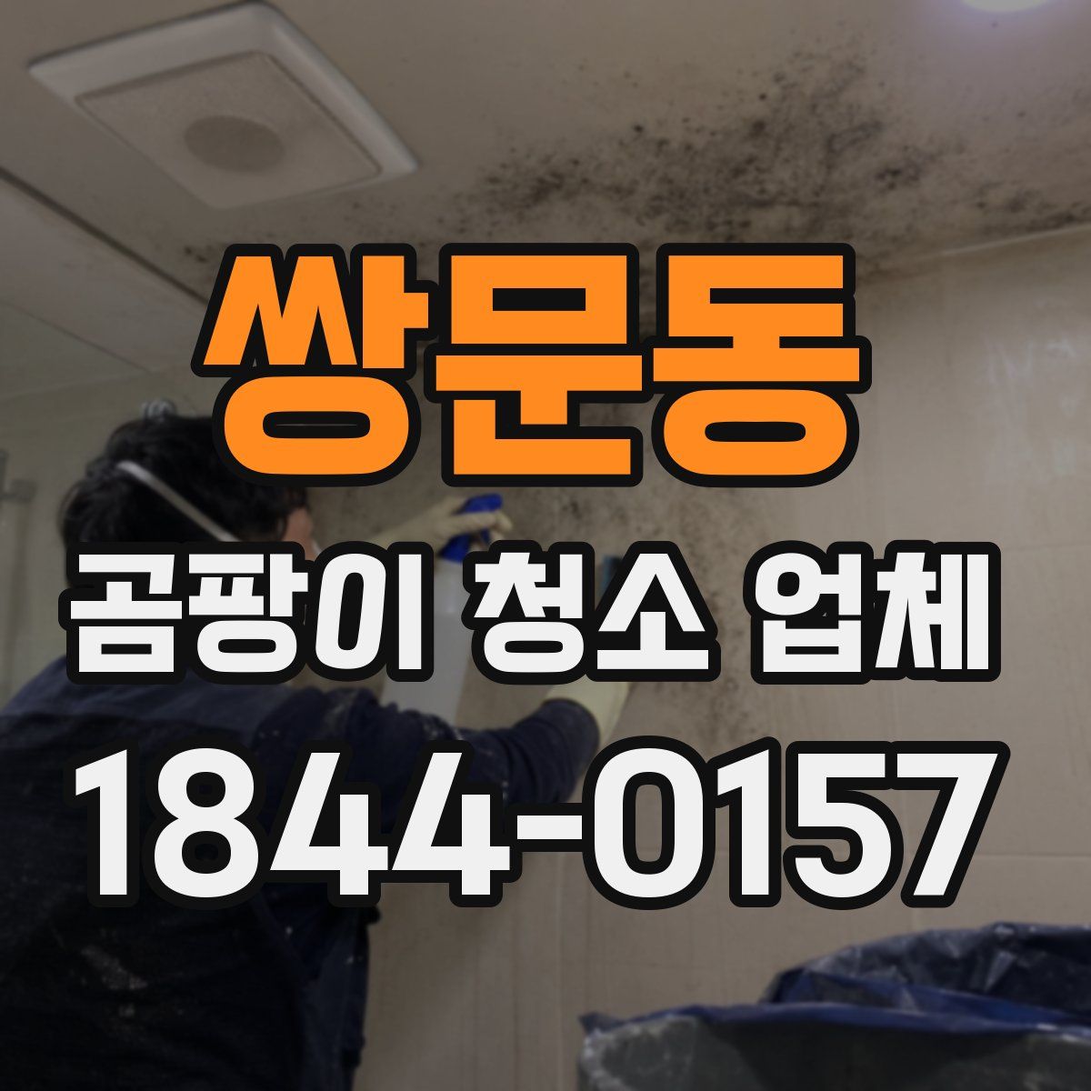 쌍문동 곰팡이 청소 업체