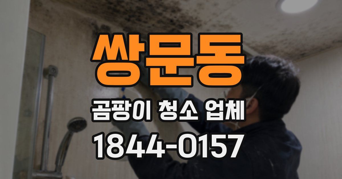 쌍문동 곰팡이 청소 업체