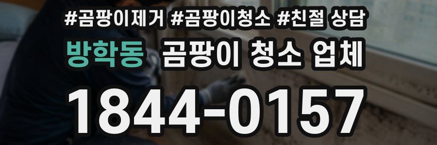 방학동 곰팡이 청소 업체
