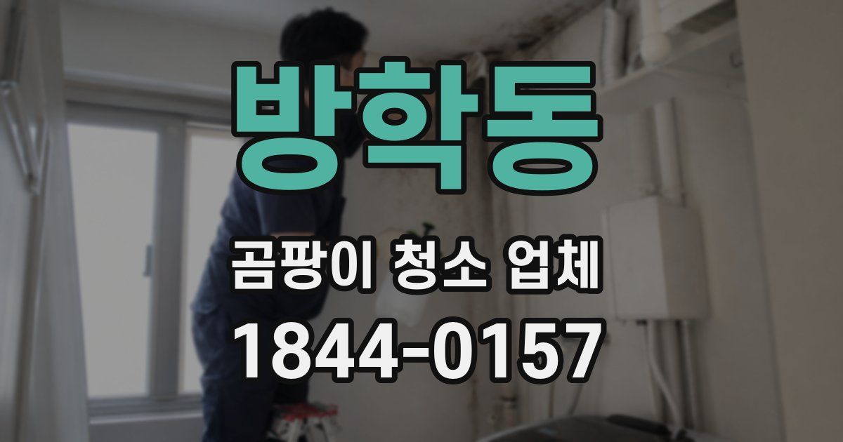 방학동 곰팡이 청소 업체