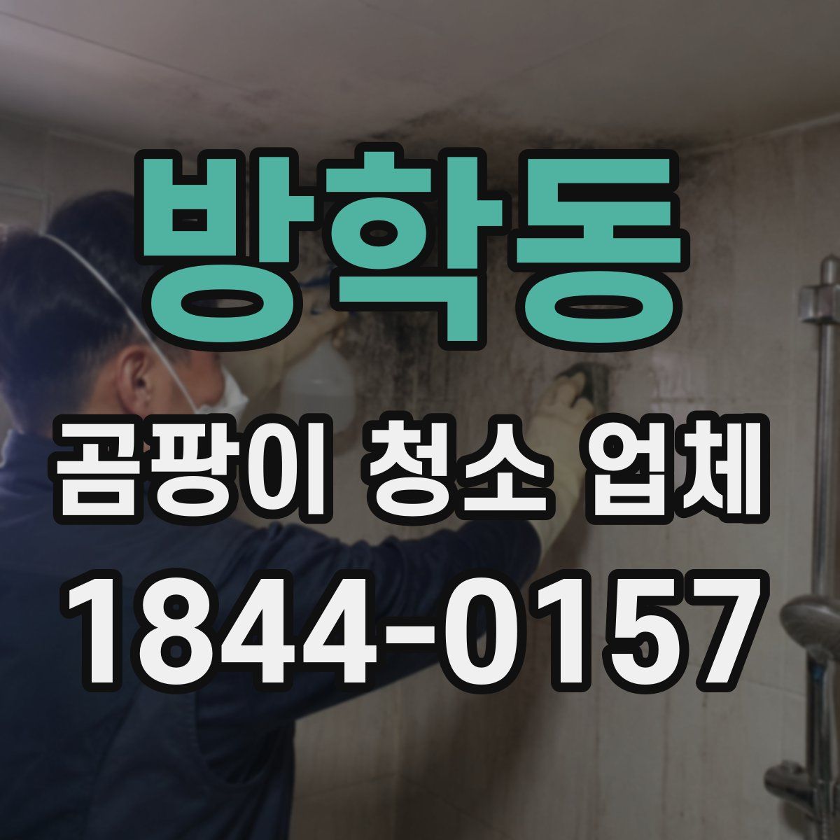 방학동 곰팡이 청소 업체