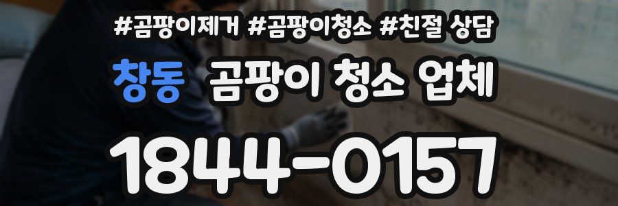 창동 곰팡이 청소 업체