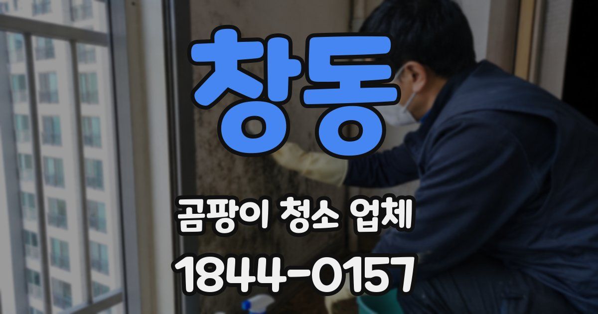 창동 곰팡이 청소 업체