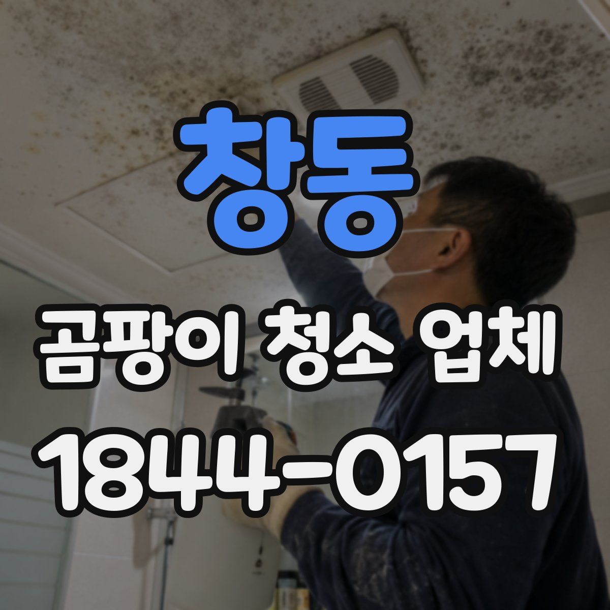 창동 곰팡이 청소 업체