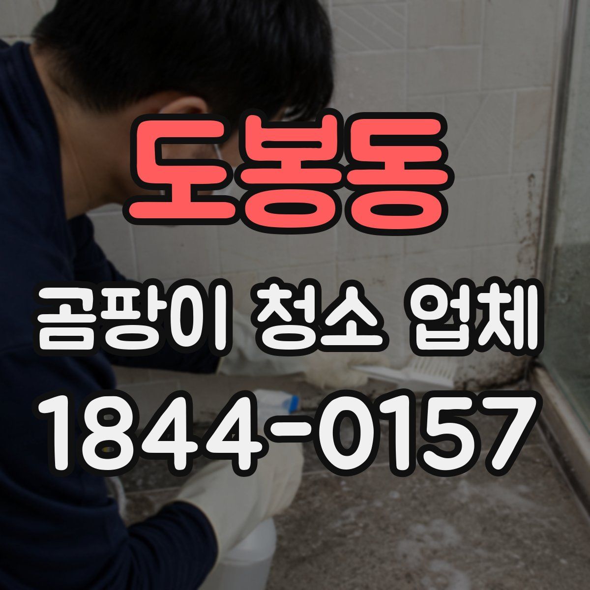 도봉동 곰팡이 청소 업체