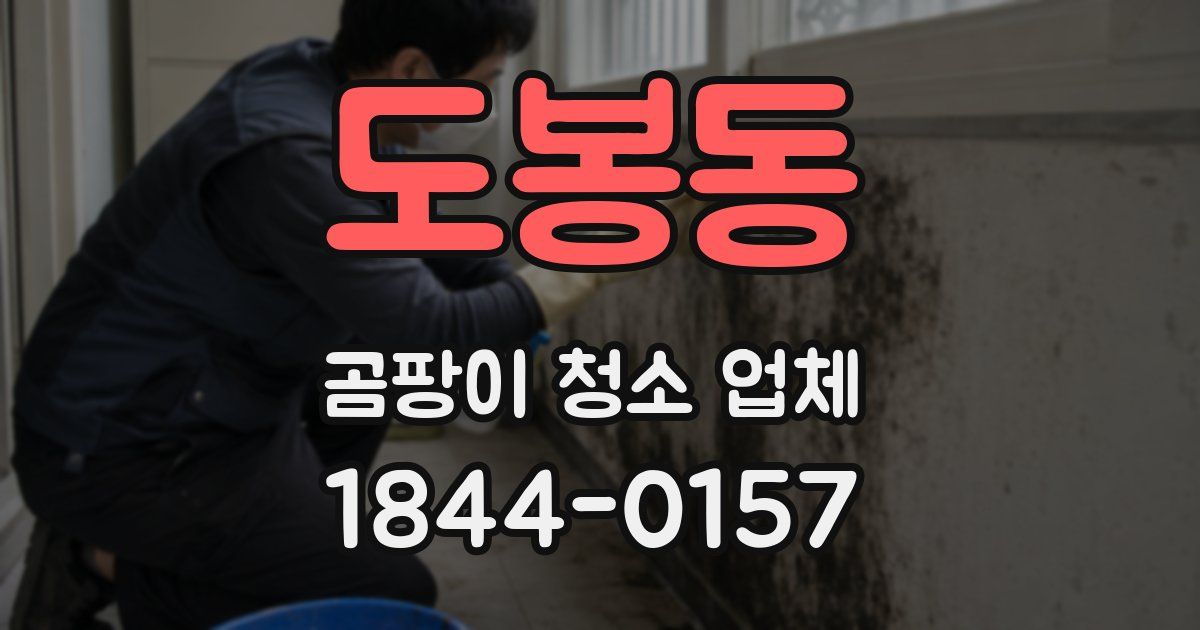 도봉동 곰팡이 청소 업체