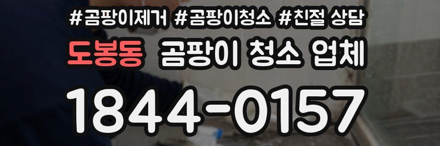 도봉동 곰팡이 청소 업체