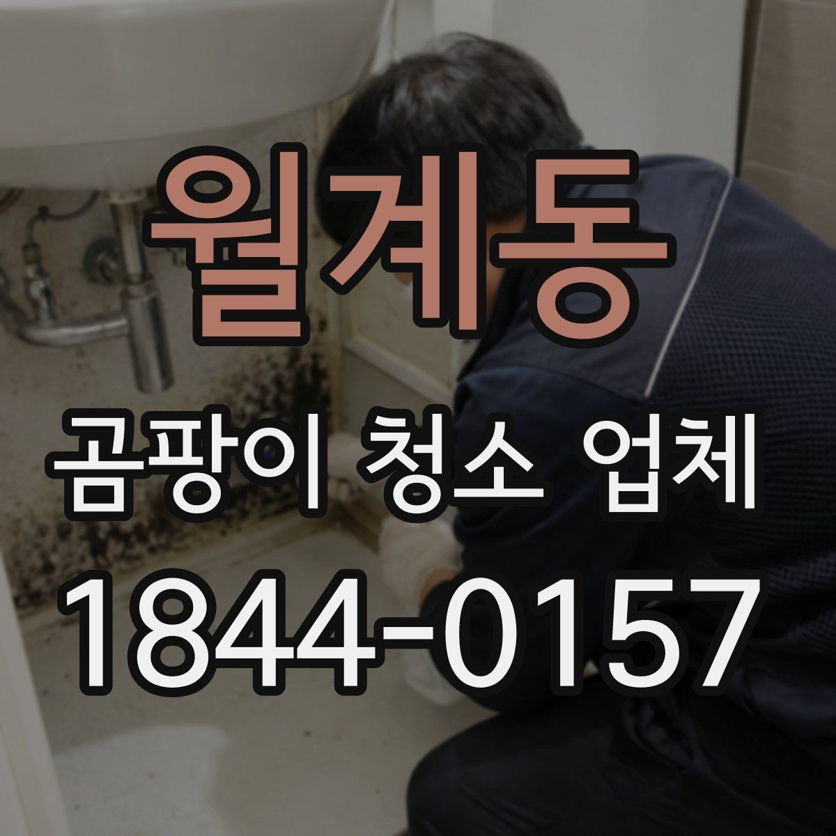 월계동 곰팡이 청소 업체