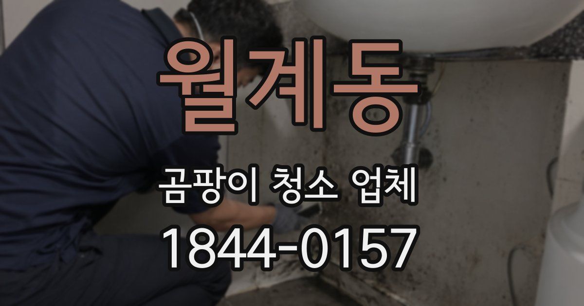 월계동 곰팡이 청소 업체