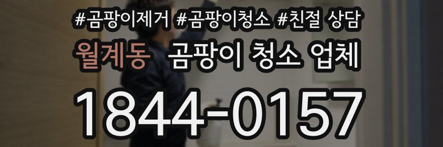 월계동 곰팡이 청소 업체