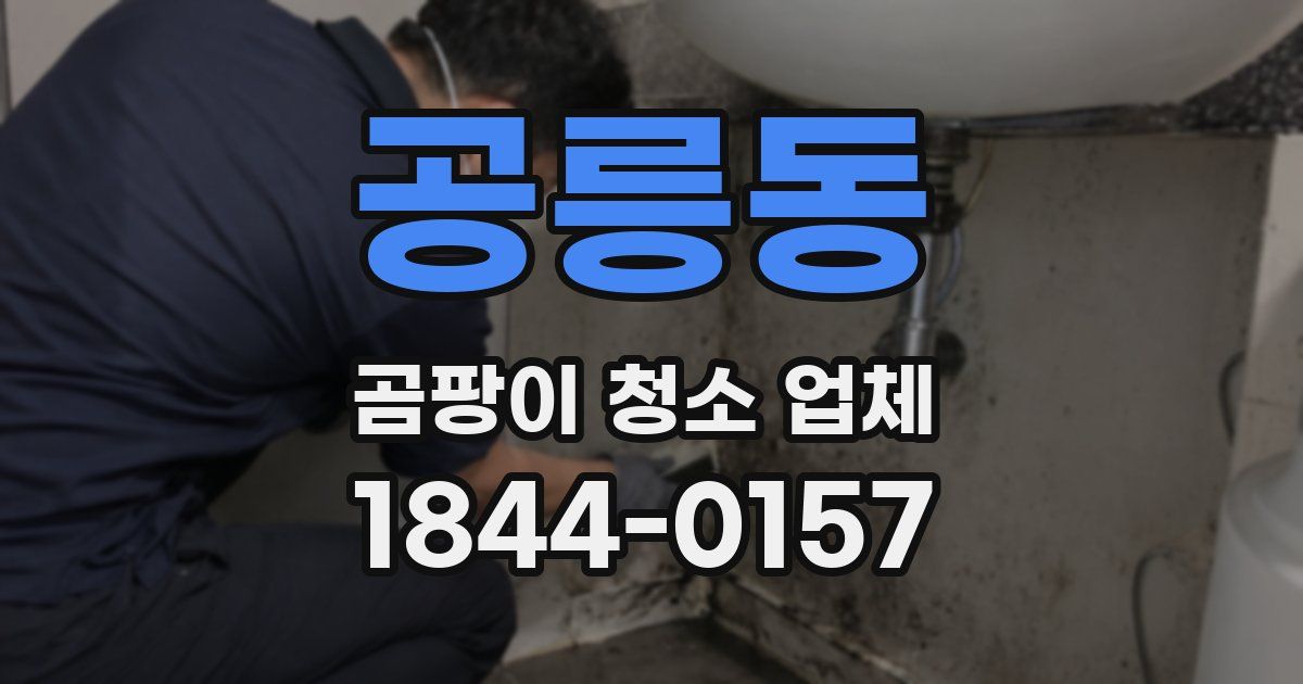 공릉동 곰팡이 청소 업체