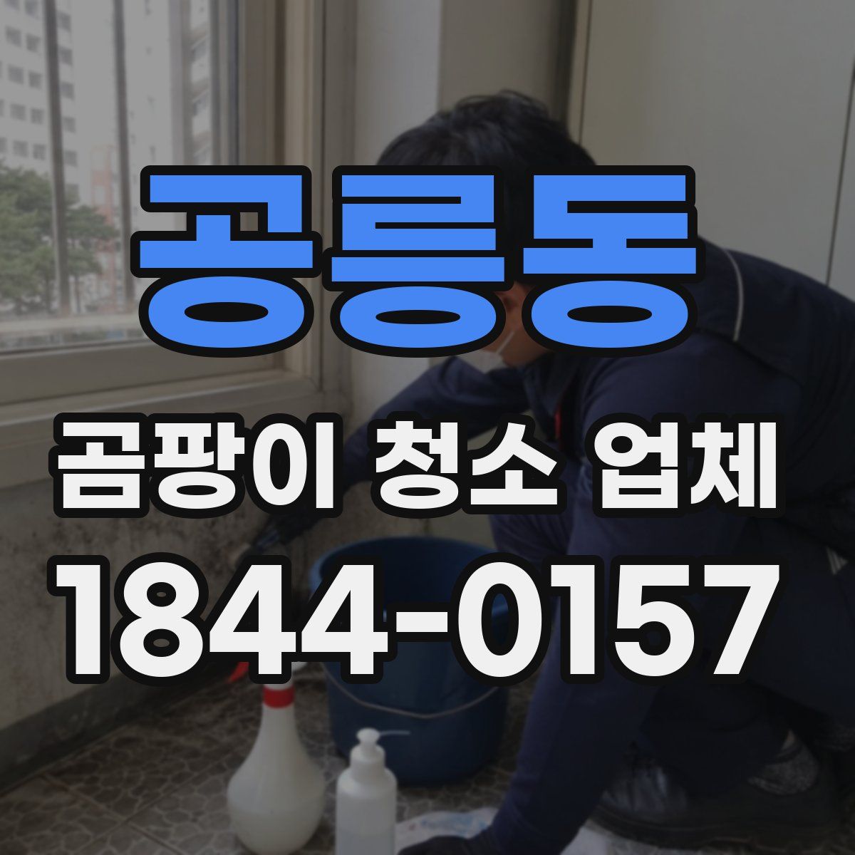 공릉동 곰팡이 청소 업체