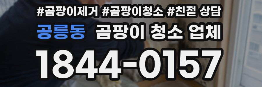 공릉동 곰팡이 청소 업체