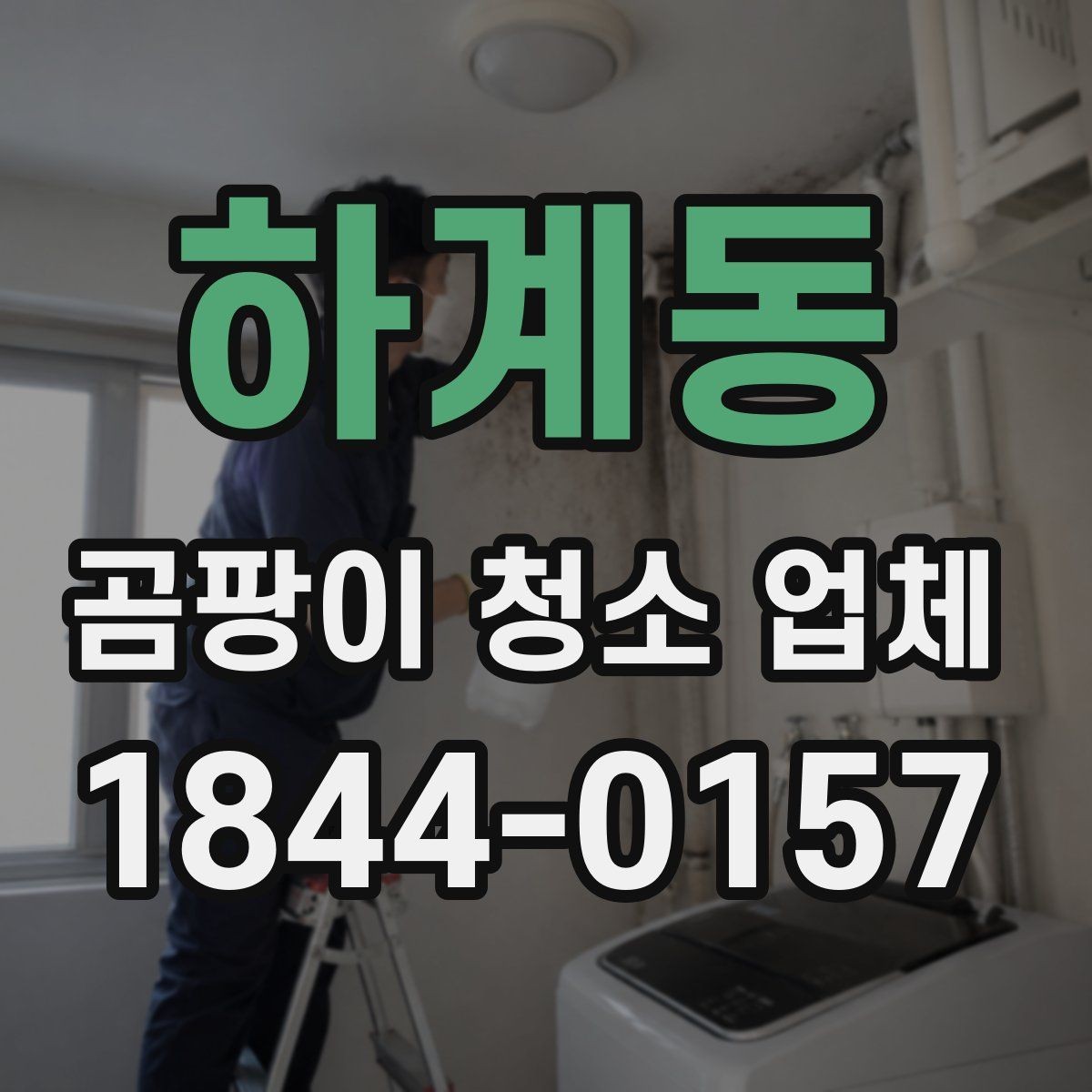 하계동 곰팡이 청소 업체 서비스 범위 어디까지 가능한가