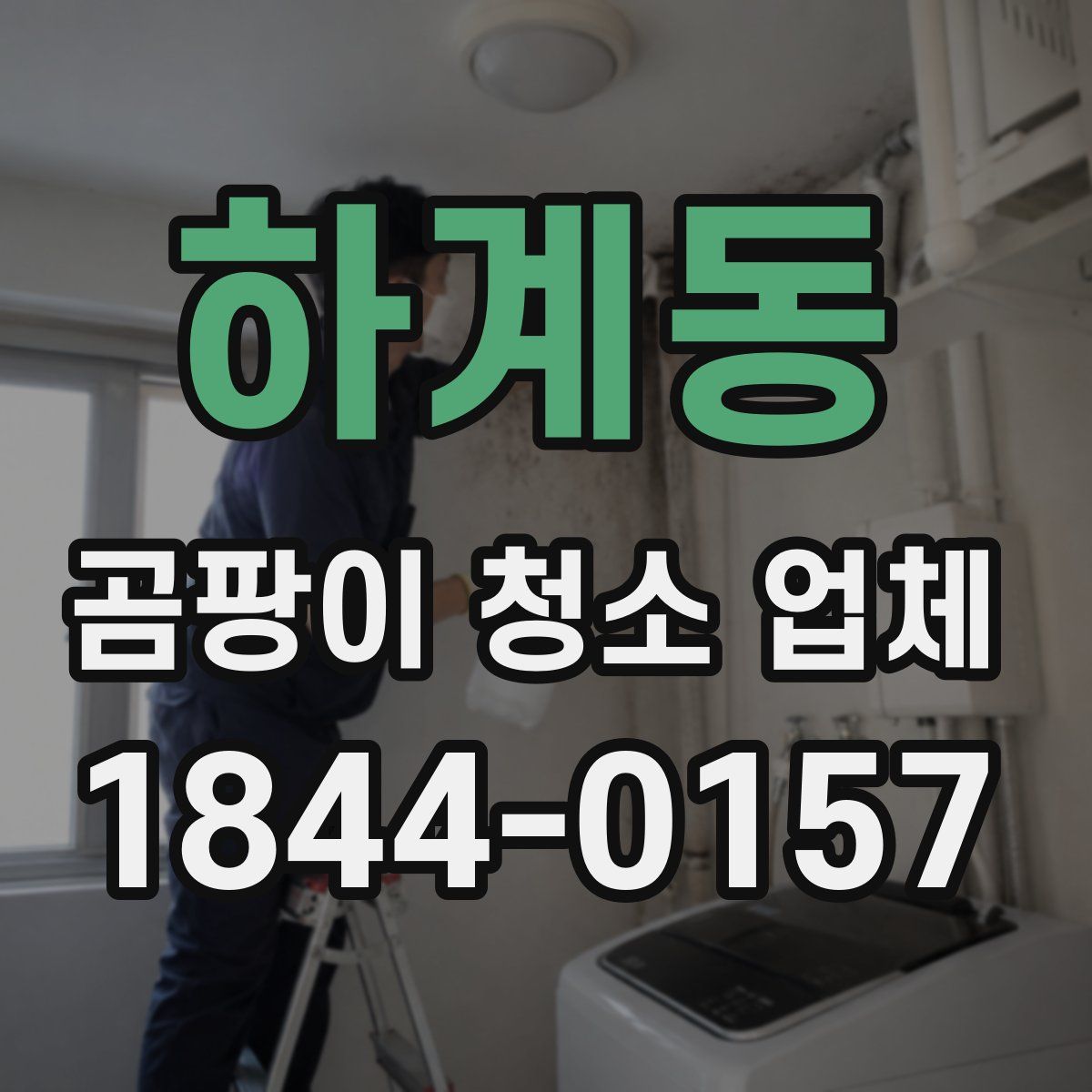 하계동 곰팡이 청소 업체