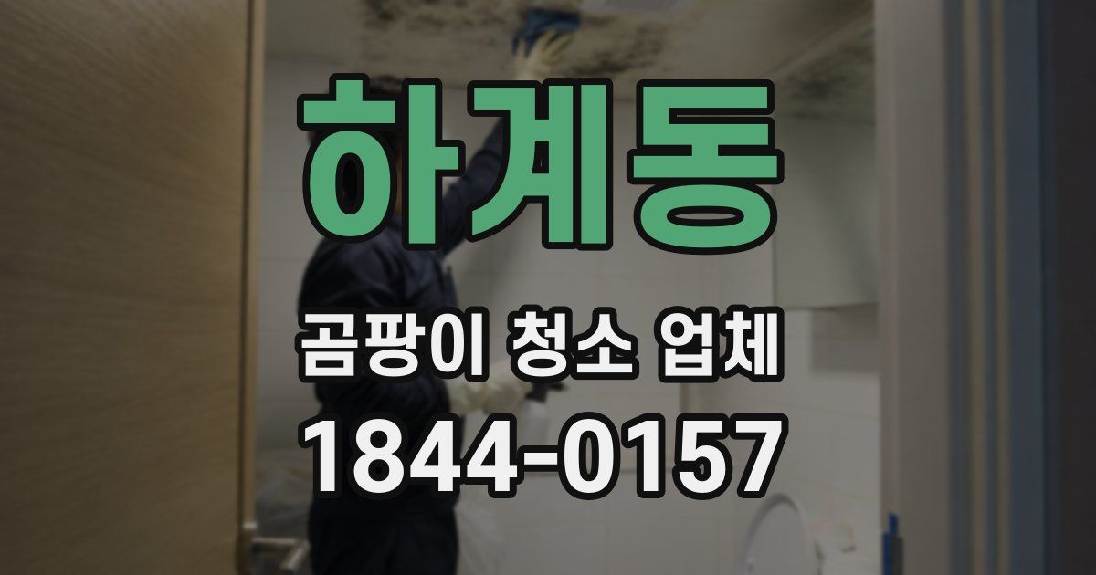 하계동 곰팡이 청소 업체
