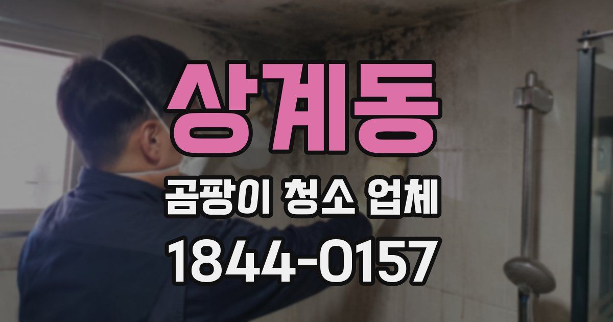 상계동 곰팡이 청소 업체