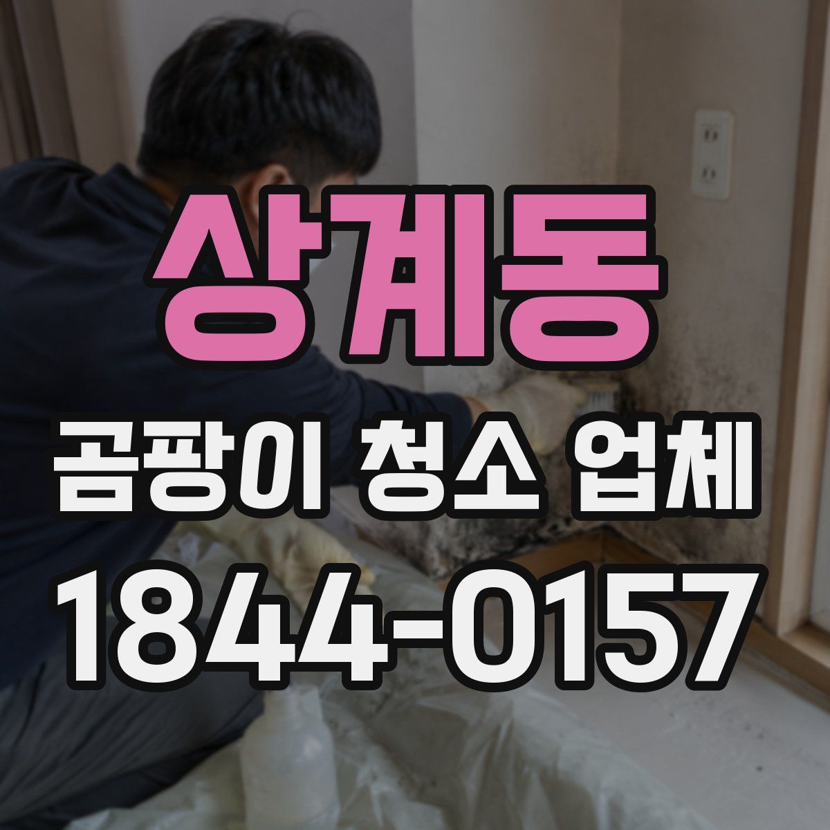 상계동 곰팡이 청소 업체
