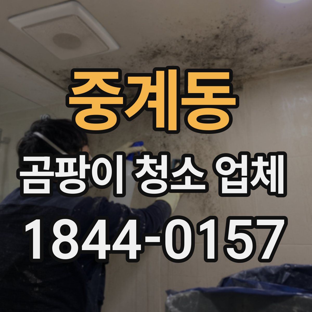 중계동 곰팡이 청소 업체