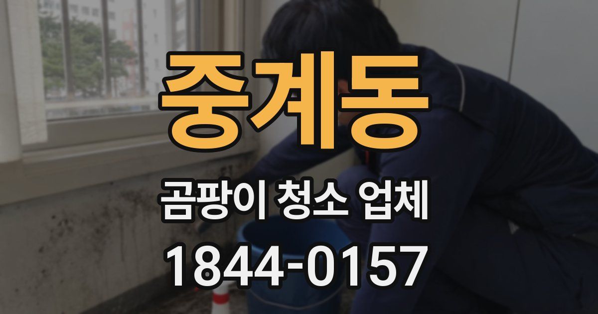 중계동 곰팡이 청소 업체