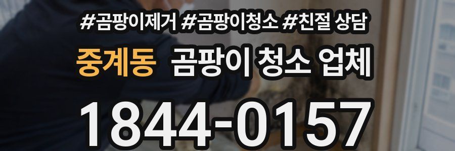 중계동 곰팡이 청소 업체