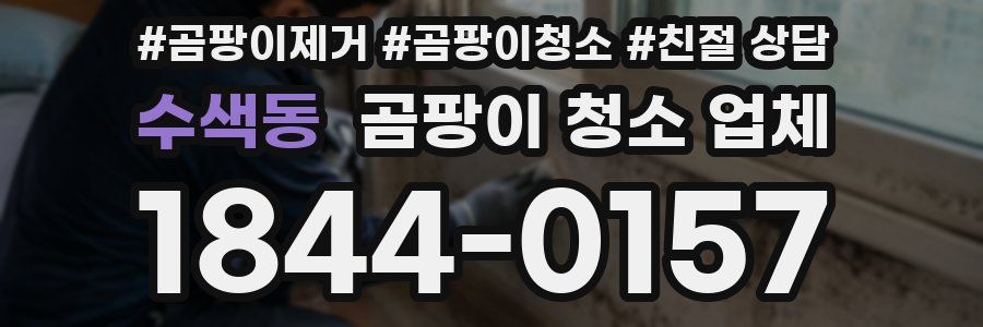수색동 곰팡이 청소 업체