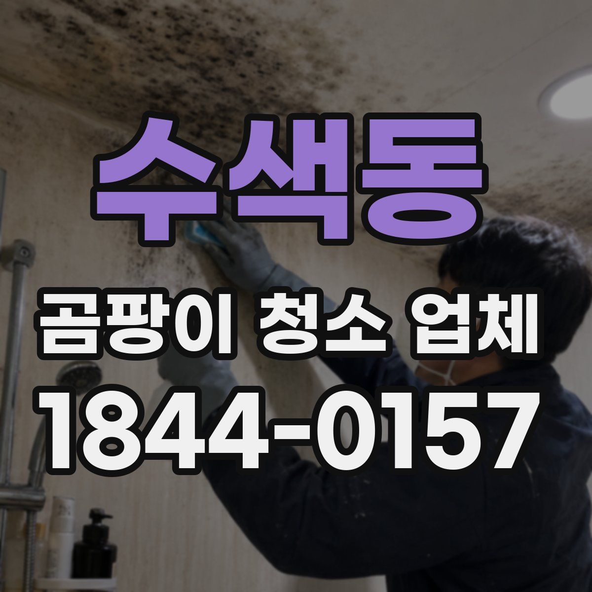 수색동 곰팡이 청소 업체