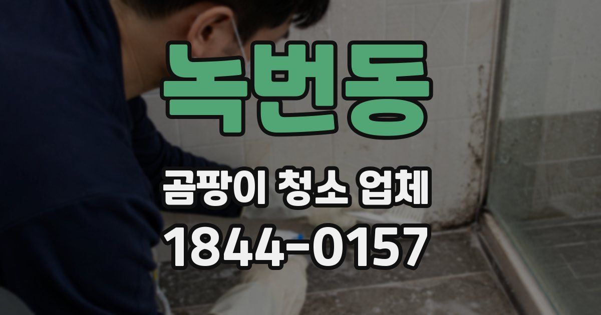 녹번동 곰팡이 청소 업체