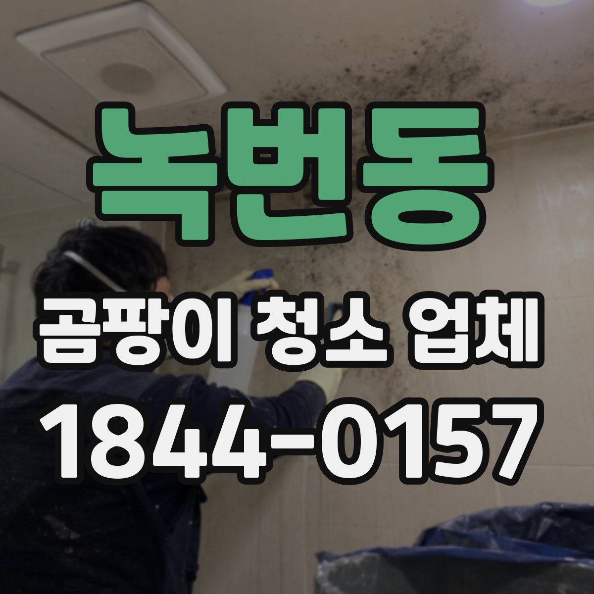녹번동 곰팡이 청소 업체